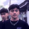 pipin_stecu_habizz