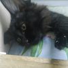 dasha_207777