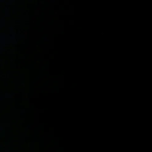 zlnsptra