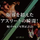 @mamoruhoriguchi