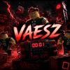 vaesz_1