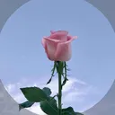 @n001_no