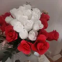 @zalimhayat064