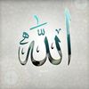 lady_gulli81