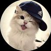cats714