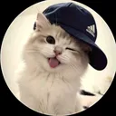 @cats714