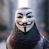 anonymuspigeon