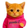 mrkittyn