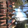 savannah_6940