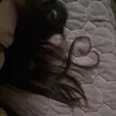 @fwiggx
