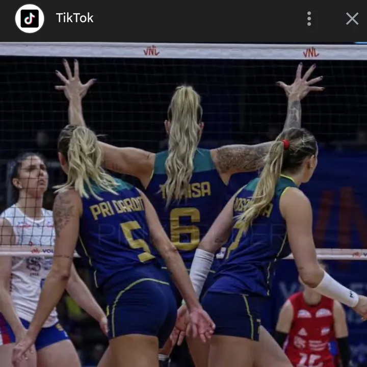 cortesvolei7