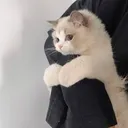 @zooz_14_