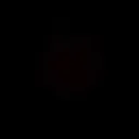 @kimberley_vtr