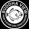 buddhaview