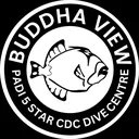 @buddhaview
