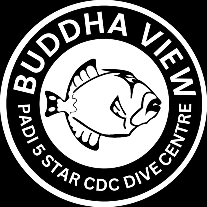 @buddhaview