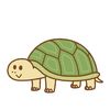 mirim_raito