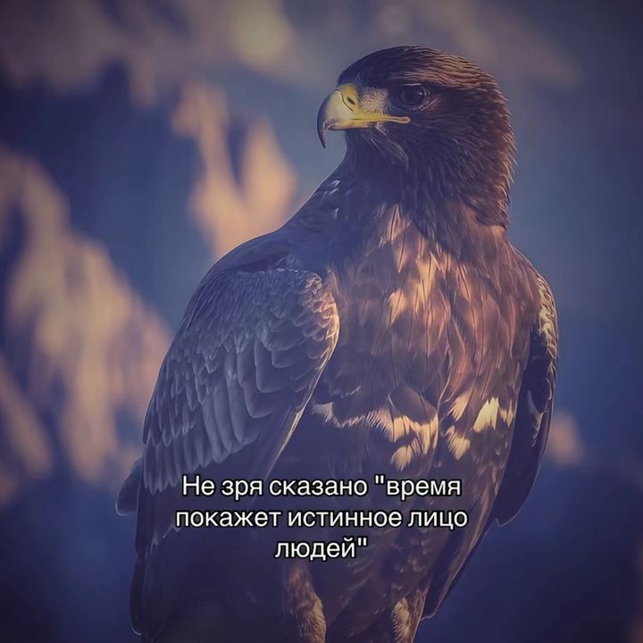 • - original sound