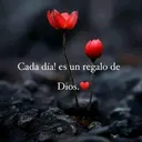 @nocta1984