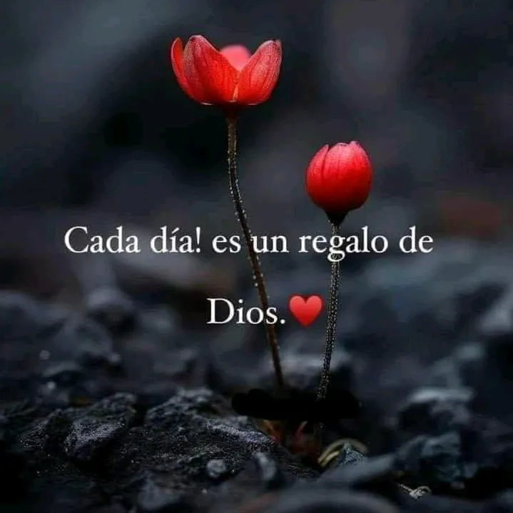 @nocta1984