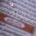 @djaafouramine