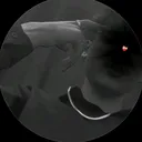 @hammad1123455
