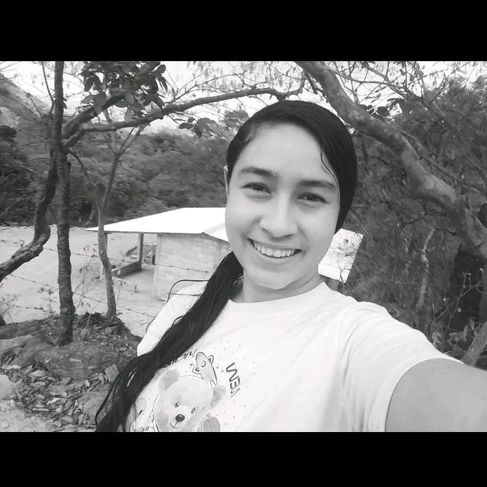 @rodriguez2269