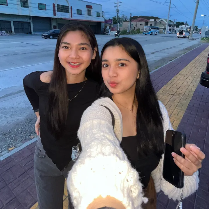 ellsems_