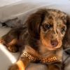 cutesyyaiden