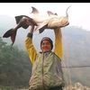 durgashrestha574