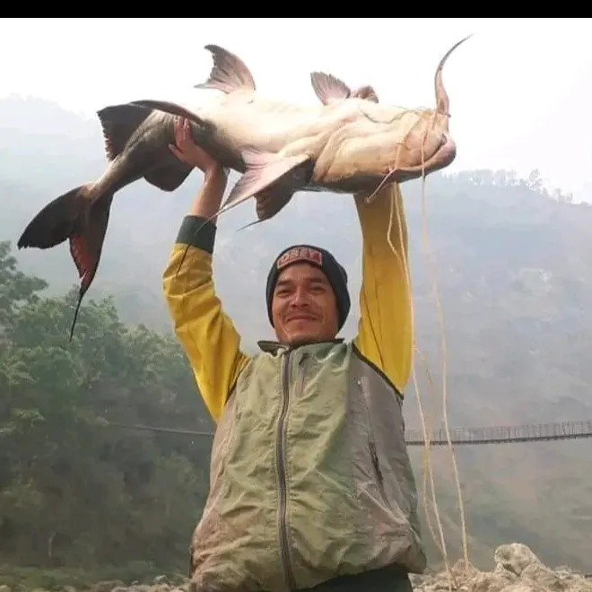 durgashrestha574