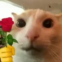 @alec30000