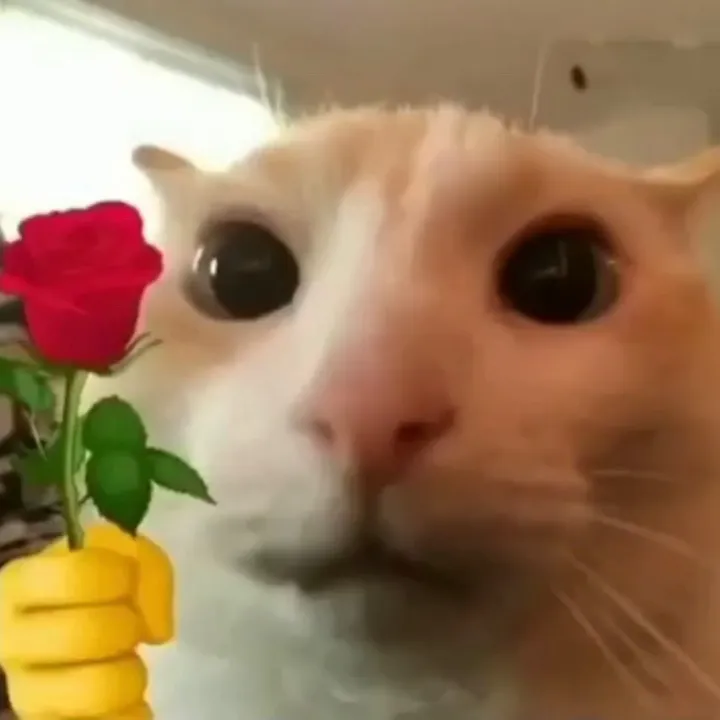 @alec30000