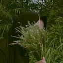 @mam_fs