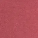 @tacyappp