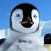penguin.feather