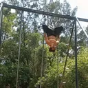 @calistenia_spider