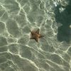 deniz.zerose