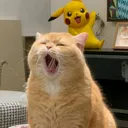 @yhernhenry