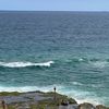 pb07tosydney