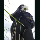 @crmariitza