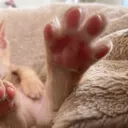 @oreeeo011
