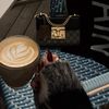 blogger.sara