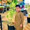 mrfazi166