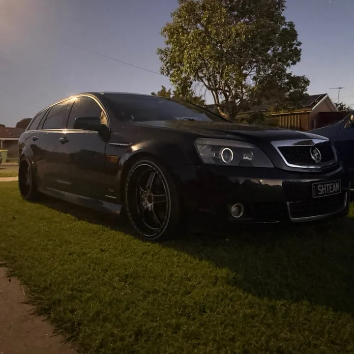@trashy_wagz