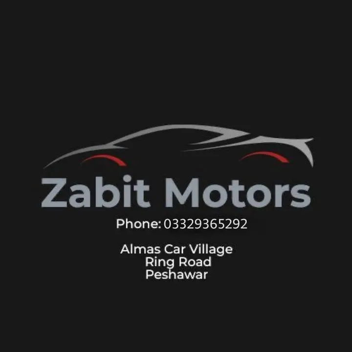 zabitmotors100