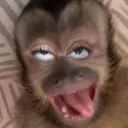 @mxdcygurl