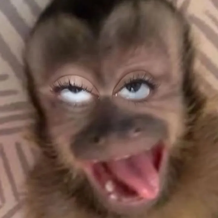 mxdcygurl