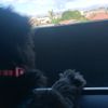 basti.gdboy08