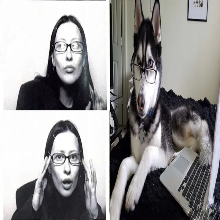 samueisde